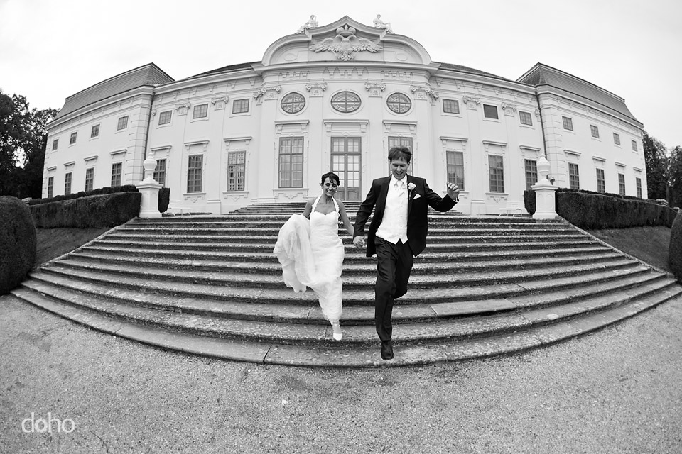 doho foto