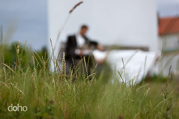 doho foto