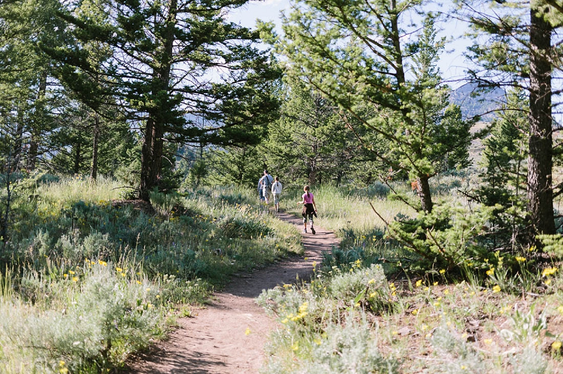 Reise in die USA Teil 1 Yellowstone NP Hochzeitsfotografin aus