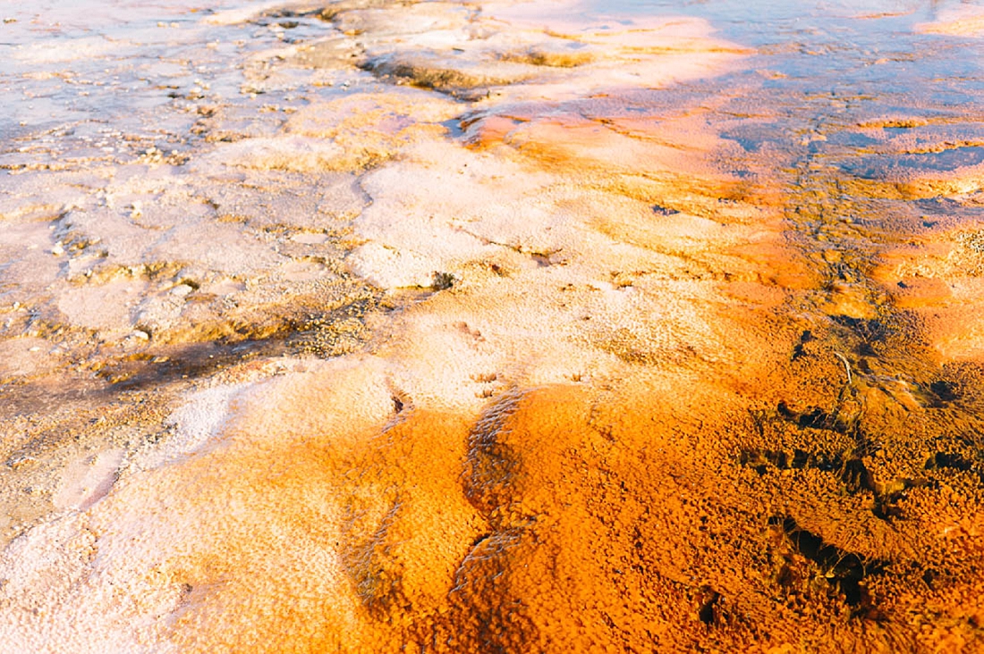 Reise in die USA Teil 1 Yellowstone NP Hochzeitsfotografin aus
